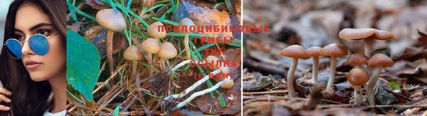 мефедрон мука Магас