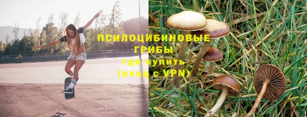 метадон Мегион