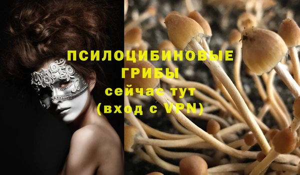 метадон Мегион