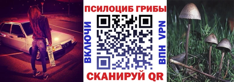 Галлюциногенные грибы Magic Shrooms  купить наркоту  Ивдель 